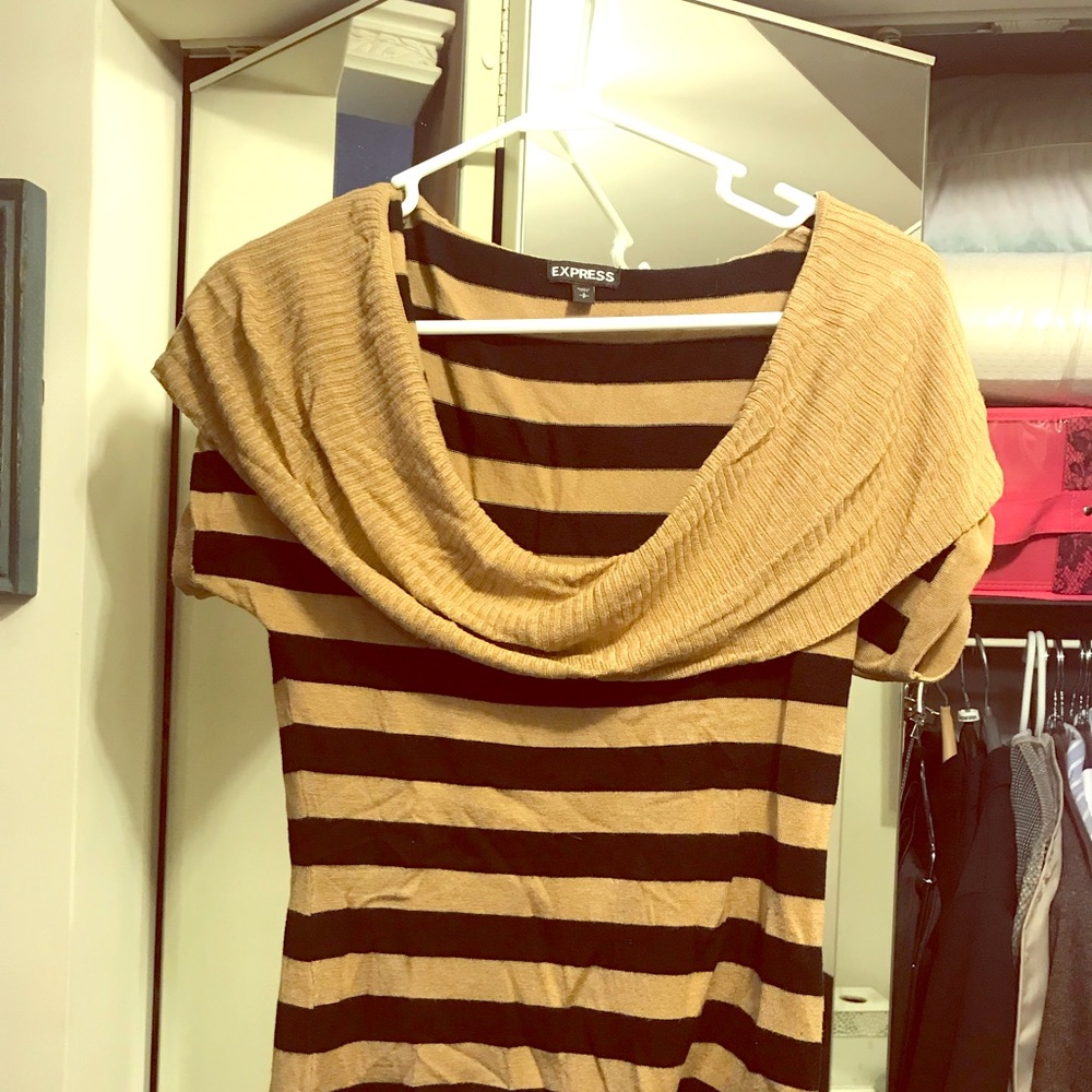Express striped sweater